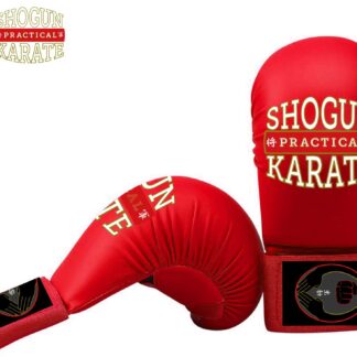 WKF Sparring Gloves